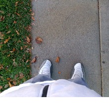 Guest_Meechie10