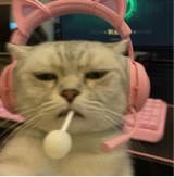 IIYAMATOII
