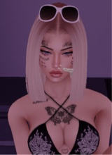 Guest_Meghan648546