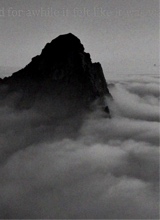 immagine avatar