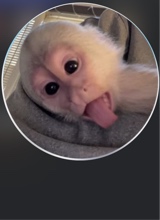 Guest_lolmemyfriend