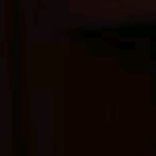 Guest_BibiViana1