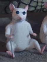 Guest_Static201