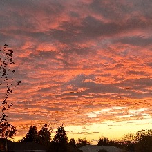 Guest_EstefaniaMartnez1
