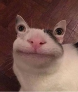 kakapisu4