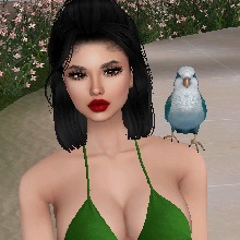 Guest_Rozinha5