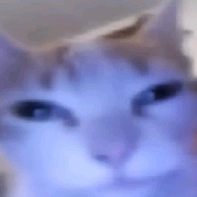 Guest_litytleebunnyyy