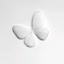 Guest_ccjoo