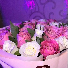 Guest_Biaasimo1