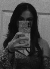 Guest_BriBrisa1