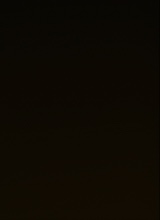 Guest_YungG66