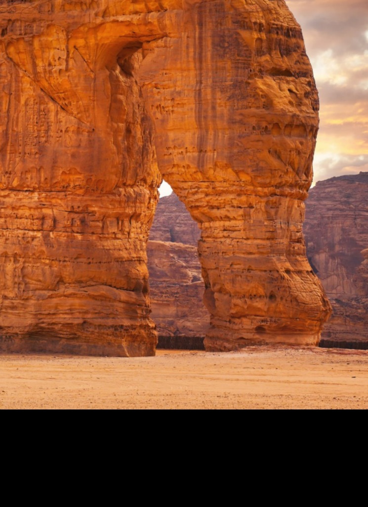 صورة الـavatar