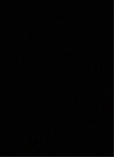 immagine avatar