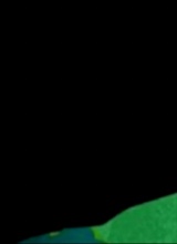 immagine avatar