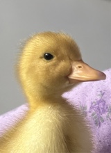 Guest_cRewindz