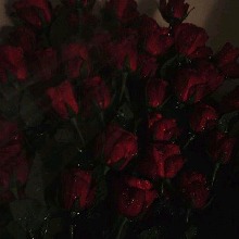Guest_Sn79737