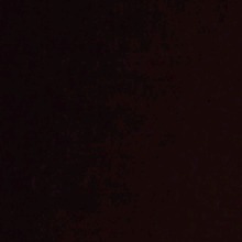 Guest_Bielcd15
