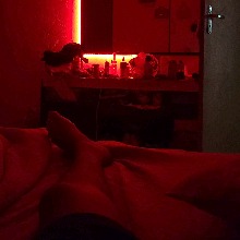 Guest_Vitao310