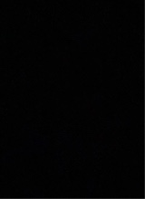 Guest_Larissa580373