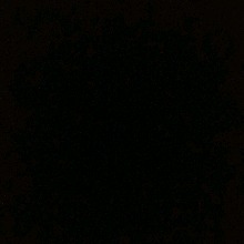 Guest_Benjamin178166
