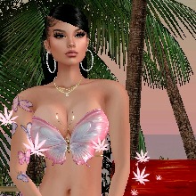 Guest_ALYSA749058