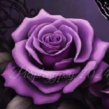 avatar resmi