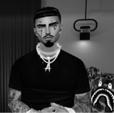 Guest_kingAlex745720