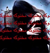 Guest_Navilas