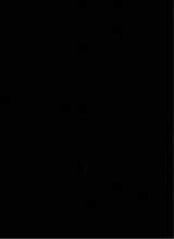 Guest_Kayla415978