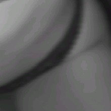 Guest_laraa381