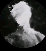 Guest_Point666