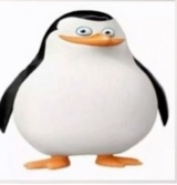 BoiiiiBoiiii