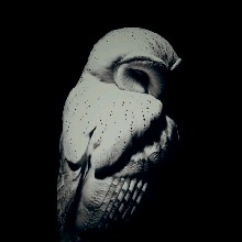 Guest_4gony
