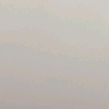 Guest_Ginevra34