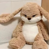 Guest_EBI3