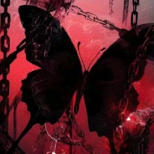 Avatar Bild