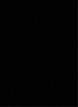 Guest_Ali696969
