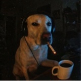 Guest_chairleg
