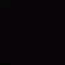 Guest_Zayy601015