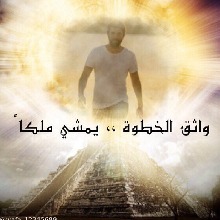 Creator: ZD0