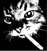 immagine avatar