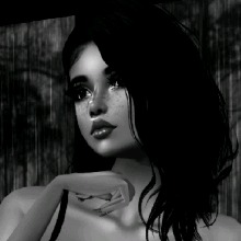 Guest_Taco8