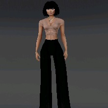 Guest_Zenaida16