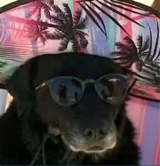 xXGuaxinimX