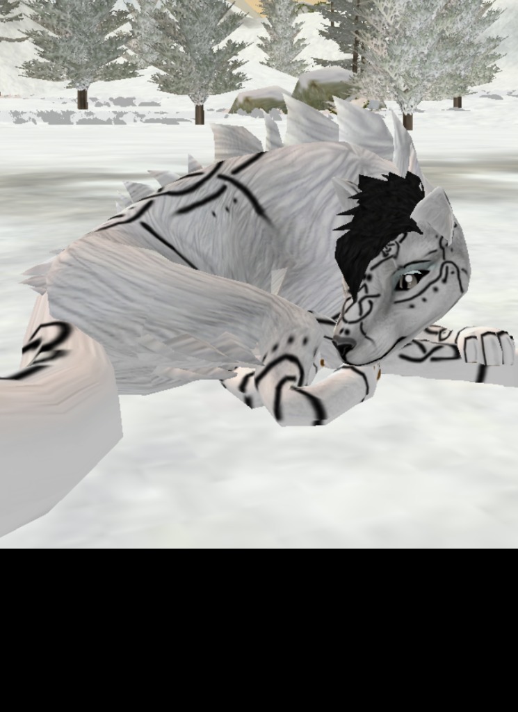 wolf876808