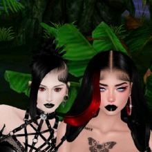 avatar-billede