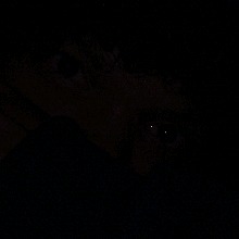 Guest_WLGK