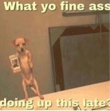 Guest_ZAE348378
