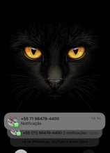 Guest_Fxlindo