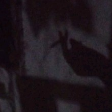Guest_SraSoul